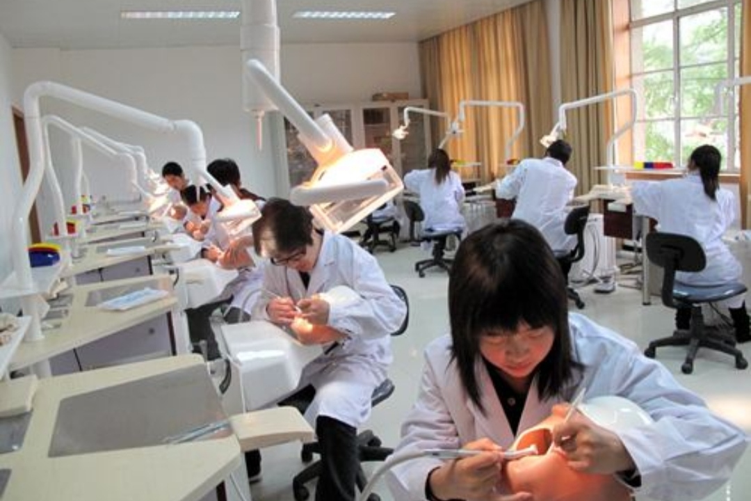 2024年适合女孩的热门专业及就业前景,家有女孩的可参考 2024年适合女孩的热门专业及就业前景,家有女孩的可参考