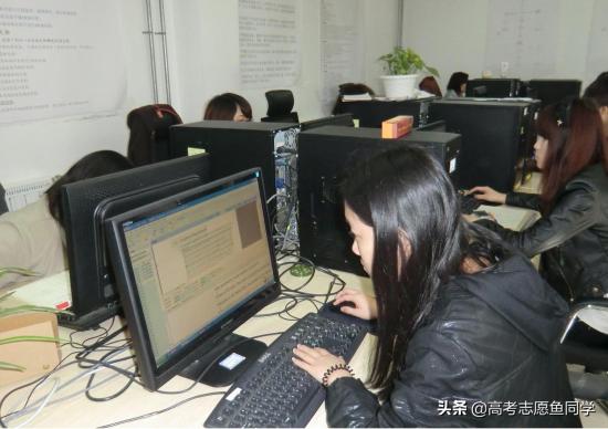 本科女生适合报考哪些专业 适合本科女生报考的8大专业