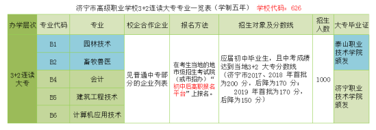 山东2024年一般建筑学校有哪些专业？