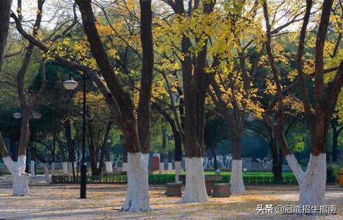 2024年初中毕业成绩不好上职校学什么专业好