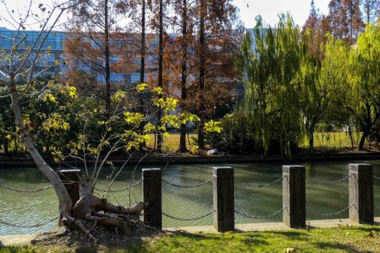 药学中药学中医学这三个专业哪个更好 哪个专业的前途发展更好
