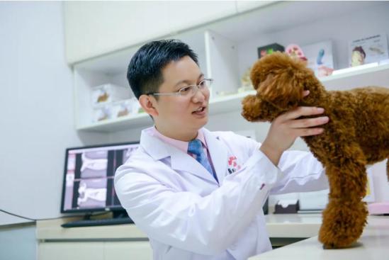 职校选择什么专业比较吃香(这些冷门专业,就业才是香饽饽) 职校选择什么专业比较吃香(这些冷门专业,就业才是香饽饽)