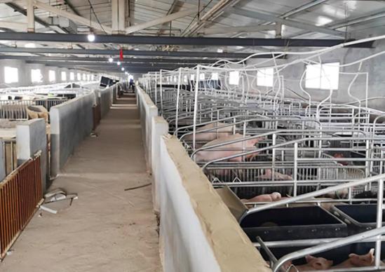 畜牧兽医专业就业前景怎么样(养殖场就业薪资、宠物医院就业薪资) 畜牧兽医专业就业前景怎么样(养殖场就业薪资、宠物医院就业薪资)