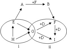 中考化学热点框图推断题专题训练(含答案) 中考化学热点框图推断题专题训练(含答案)