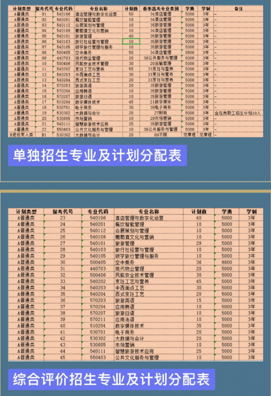 山东旅游职业学院2024年最新招生计划（2024年录取规则）