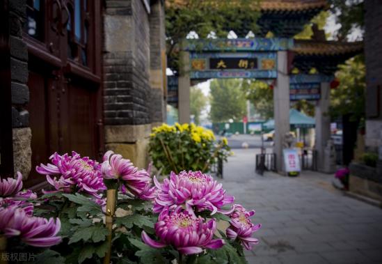 山东省最好的职业院校有哪些(盘点山东的5所优质高职院校) 山东省最好的职业院校有哪些(盘点山东的5所优质高职院校)