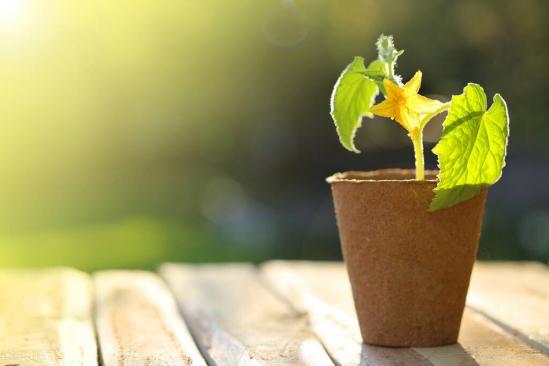 适合女生学的就业前景比较好的专业(女生选择这些专业前景也非常好) 适合女生学的就业前景比较好的专业(女生选择这些专业前景也非常好)