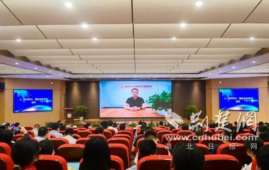 全国信息技术应用创新职业教育集团在武职成立