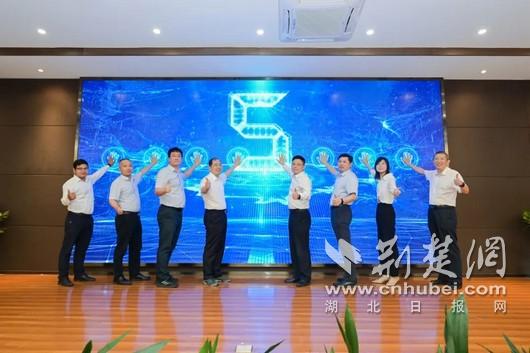 全国信息技术应用创新职业教育集团在武职成立