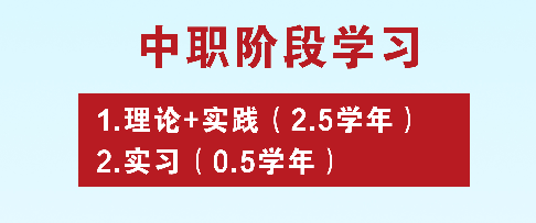 初三毕业生:技师、技校、大专、职高、职校、中专,中考后怎样选择才最好? 初三毕业生:技师、技校、大专、职高、职校、中专,中考后怎样选择才最好?