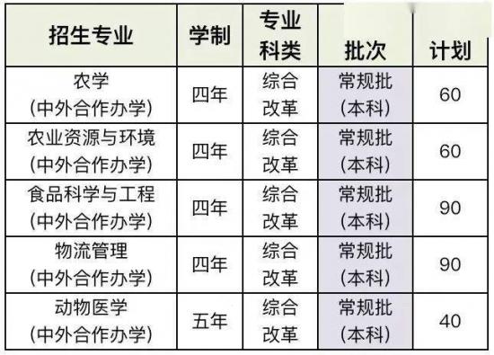 青岛大学、青岛农大、山东建大、鲁东大学招生计划 青岛大学、青岛农大、山东建大、鲁东大学招生计划