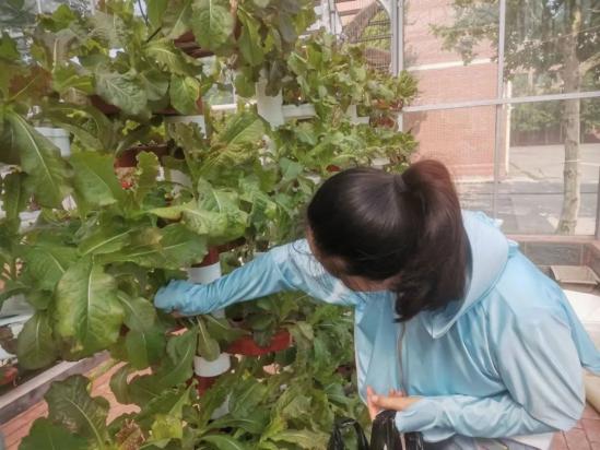 淄博机电工程学校实践基地开展劳动实践主题活动 淄博机电工程学校实践基地开展劳动实践主题活动