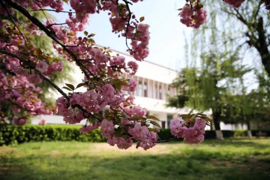 山东省济南商贸学校职教高地暨省高水平学校建设工作简报第62期（20240718）