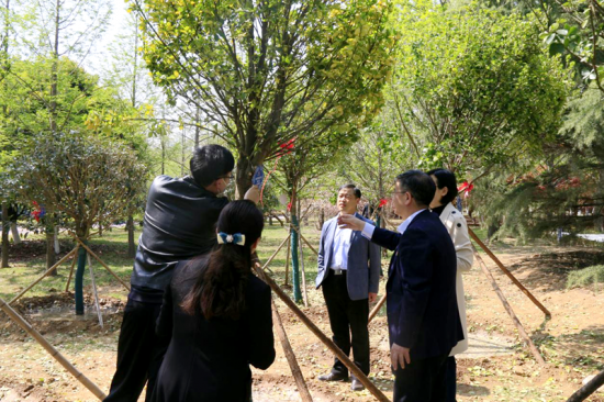 山东科技大学2024年本科综合评价招生章程