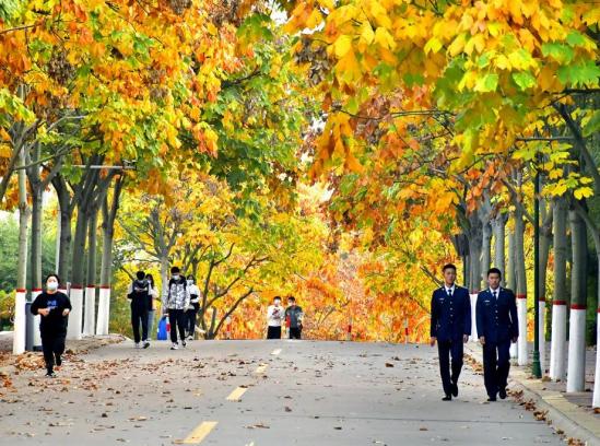 山东交通职业学院2024年最新招生简章发布