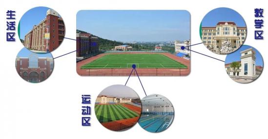 山东深泉学院2020年职教高考升学班招生计划