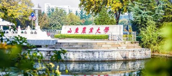 山东农业大学2024年本科招生计划