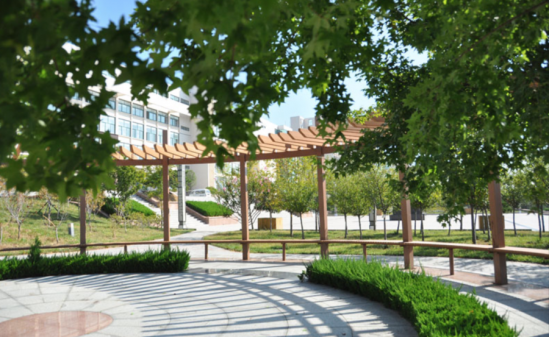 青岛黄海学院2024最新招生简章