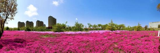 山东外事职业大学专升本2024年招生简章 山东外事职业大学专升本2024年招生简章