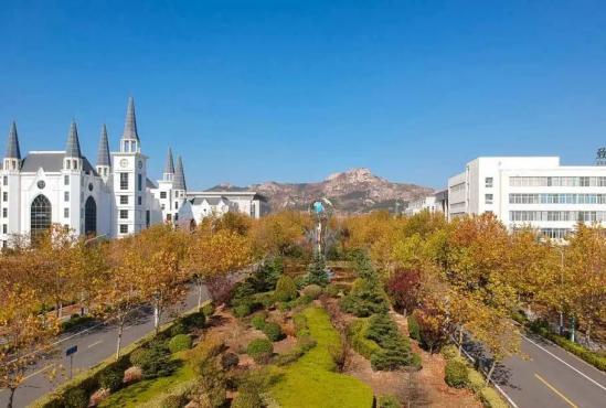 山东外事职业大学专升本2024年招生简章 山东外事职业大学专升本2024年招生简章