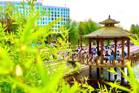 山东外事职业大学专升本2024年招生简章 山东外事职业大学专升本2024年招生简章
