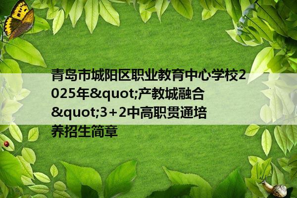 青岛市城阳区职业教育中心学校2025年