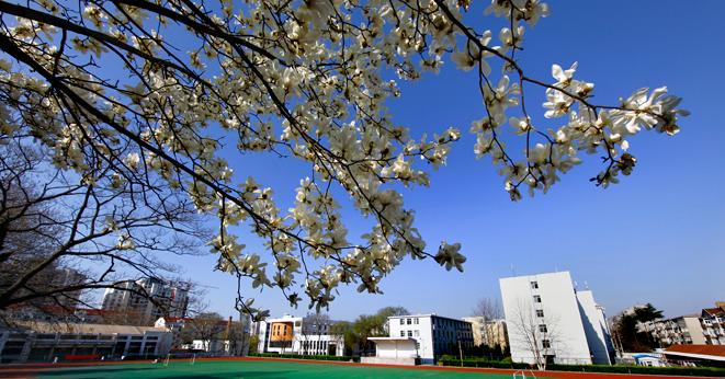 平原职业中等专业学校